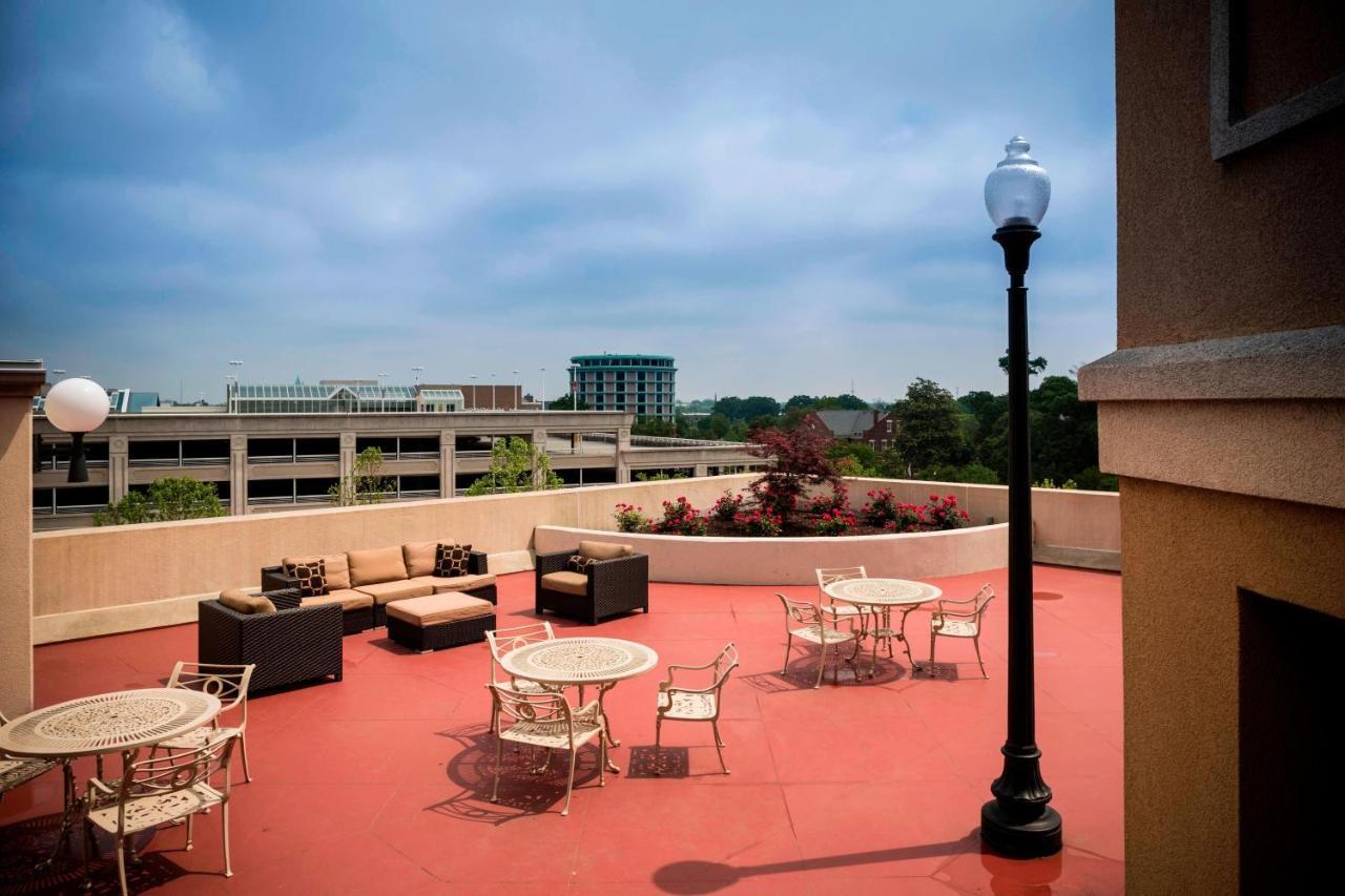 Hotel Courtyard By Marriott Downtown Norfolk